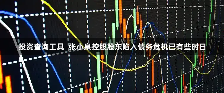 投资查询工具  张小泉控股股东陷入债务危机已有些时日