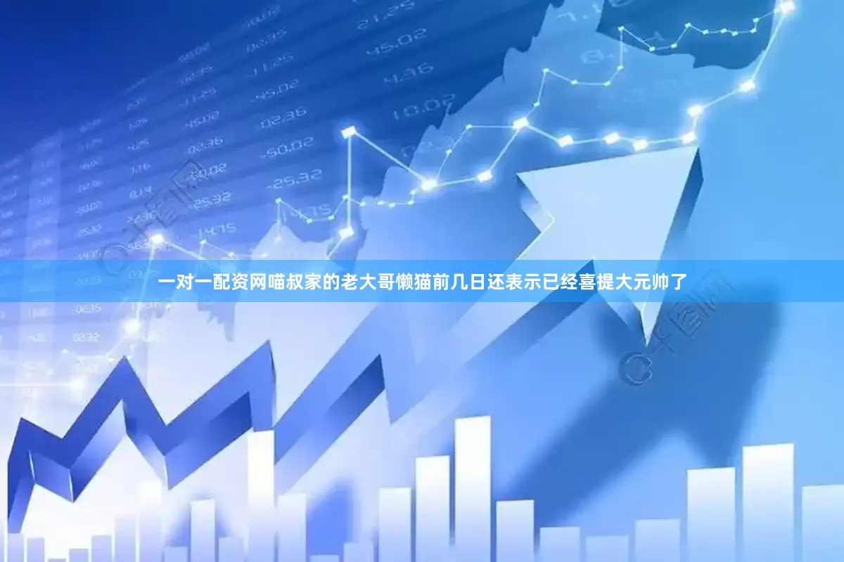 一对一配资网喵叔家的老大哥懒猫前几日还表示已经喜提大元帅了